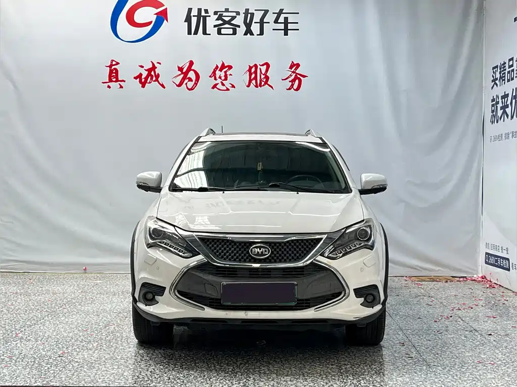 BYD Tang New Energy — миниатюра 2