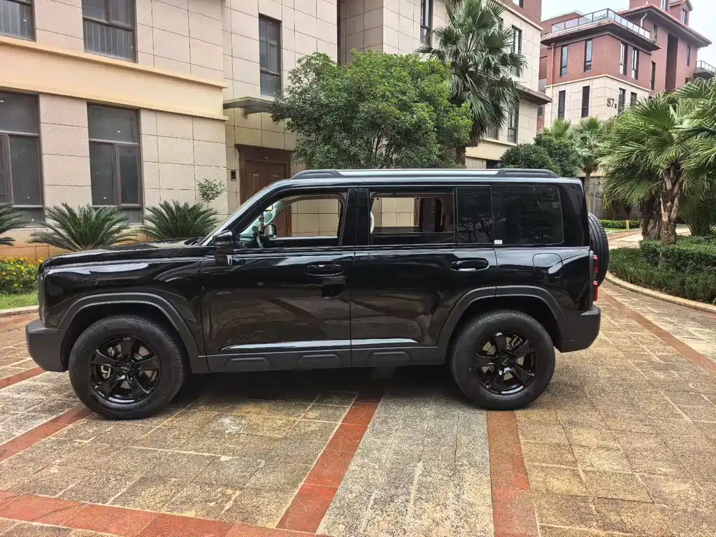 Haval Menglong New Energy — миниатюра 8