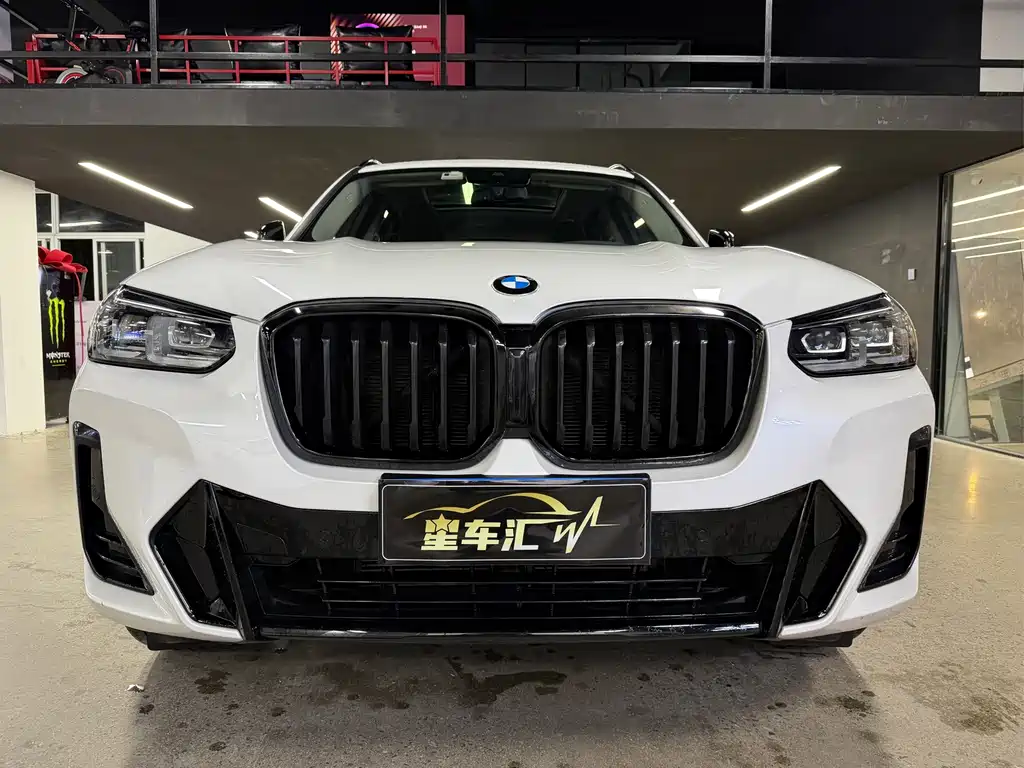 BMW X3 — миниатюра 2