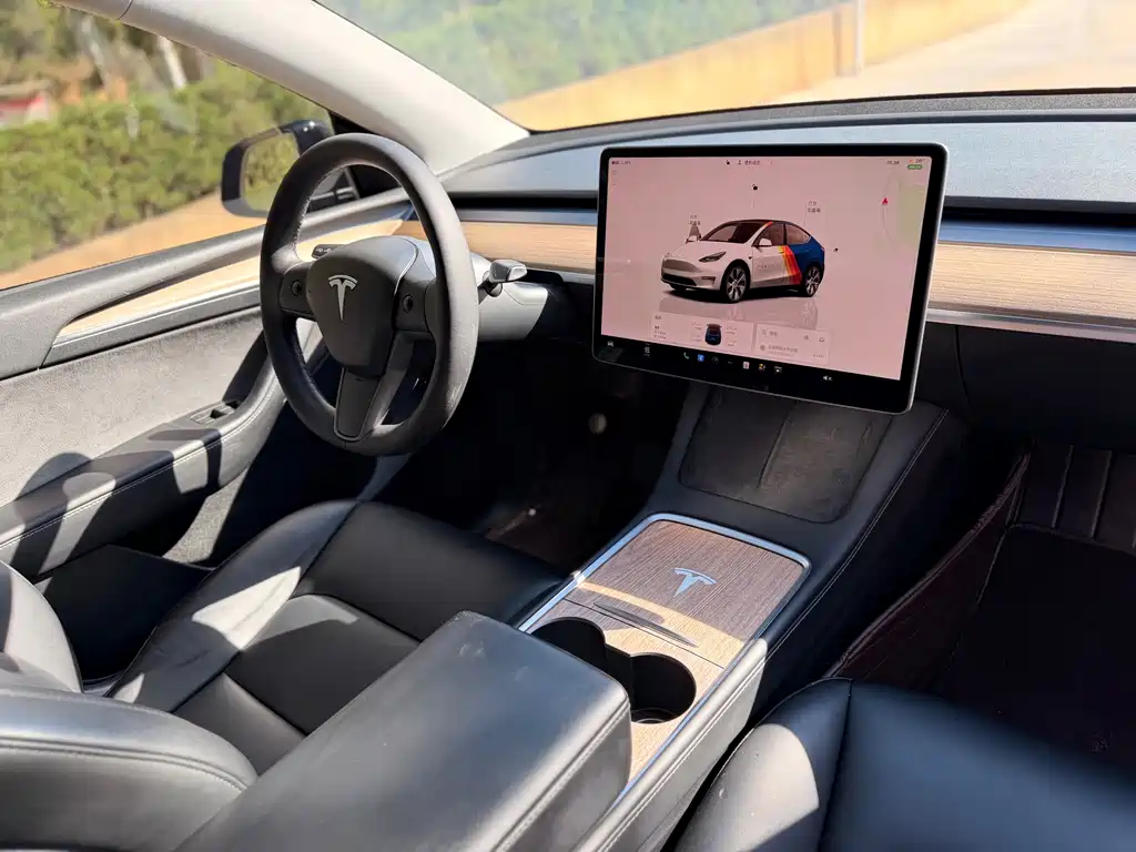 Tesla Model Y — миниатюра 12