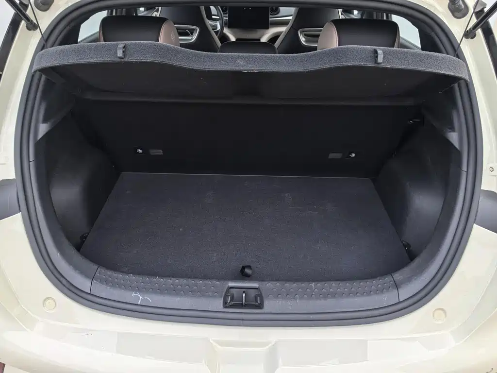 BYD Dolphin — миниатюра 13