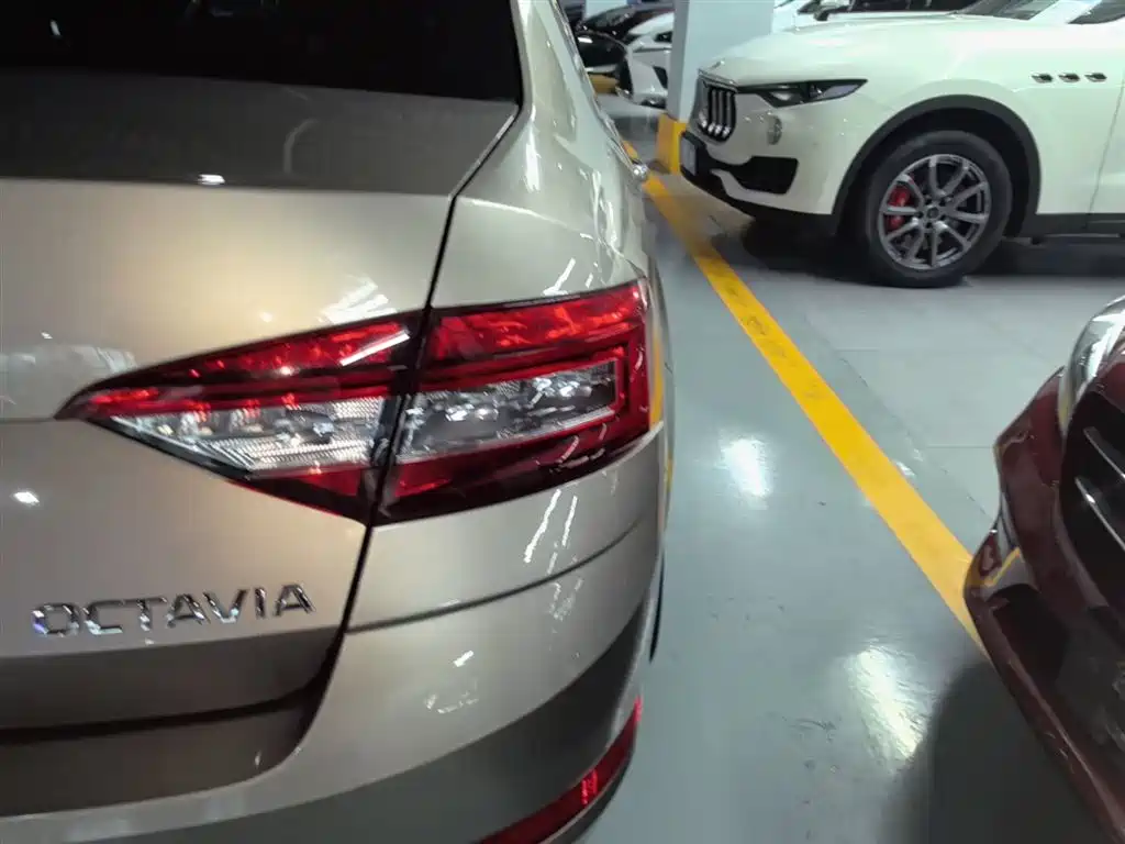 Skoda Octavia 2019 1.5L AT Luxury VI