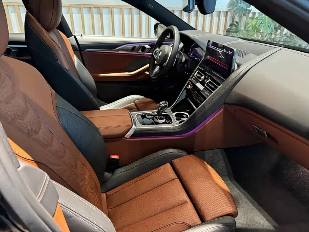 BMW 8 Series — миниатюра 11