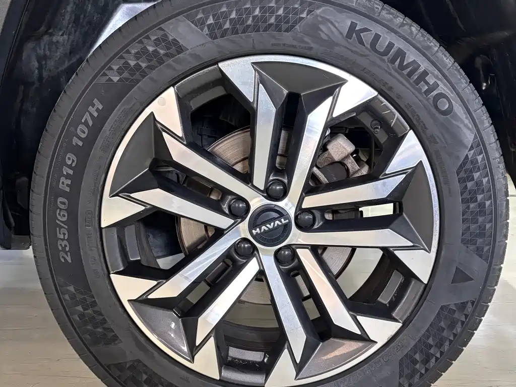 Haval Haval Big Dog PLUS — миниатюра 6