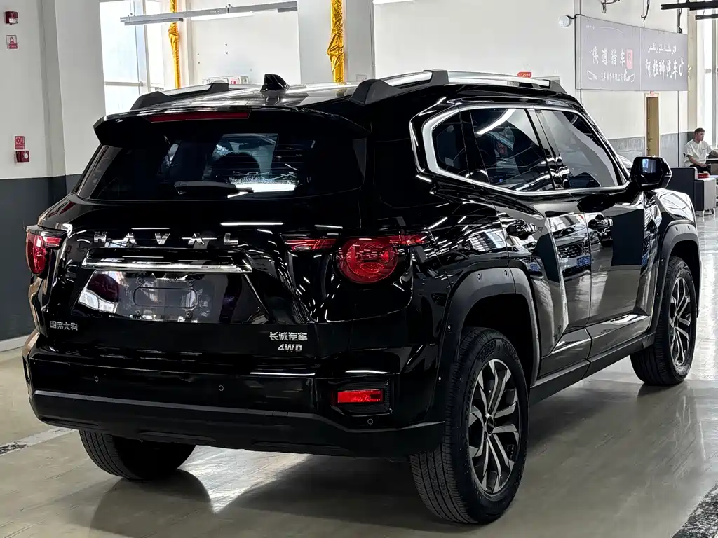 Haval Haval Big Dog PLUS — миниатюра 13