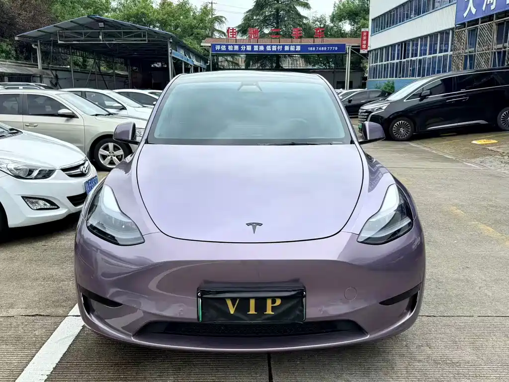 Tesla Model Y — миниатюра 2