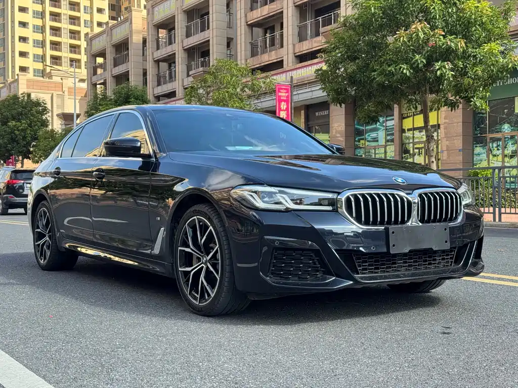 BMW 5 SERIES