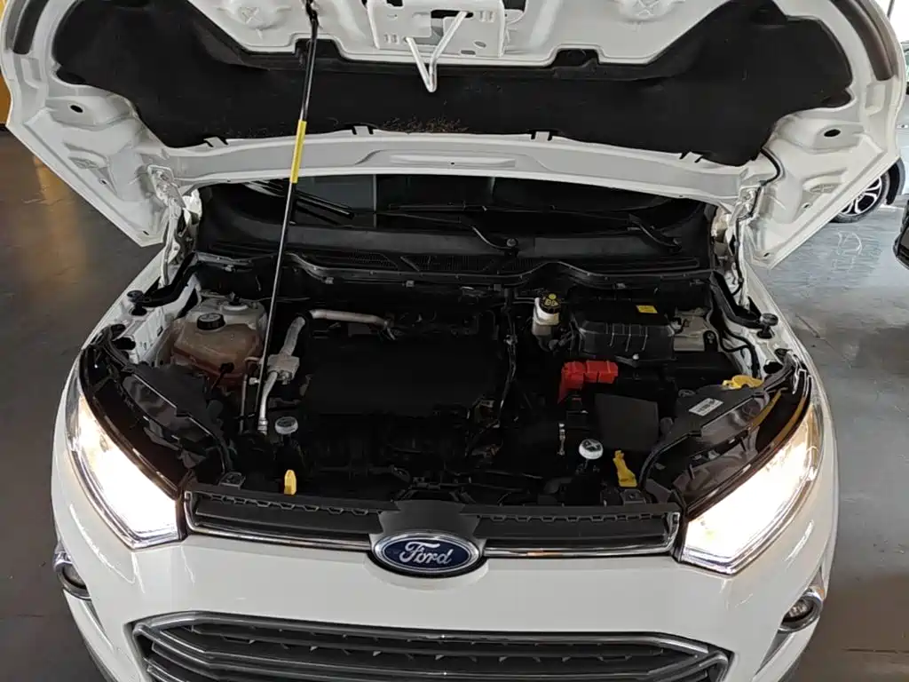 Ford Ecosport — миниатюра 20