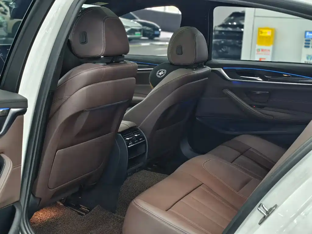 BMW 5 Series 5 2019 525Li M Sport