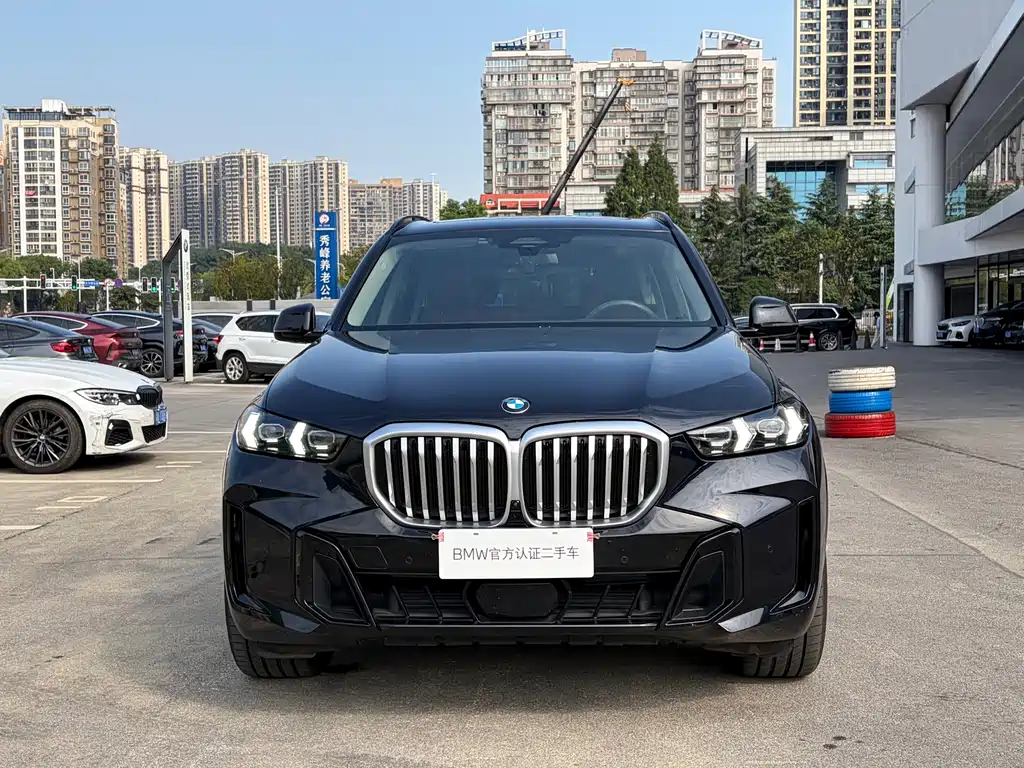 BMW X5 — миниатюра 2