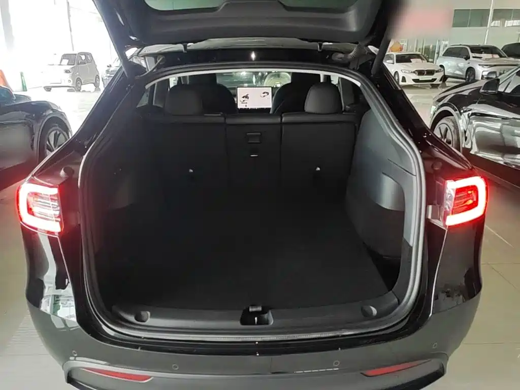 Tesla Model Y — миниатюра 19