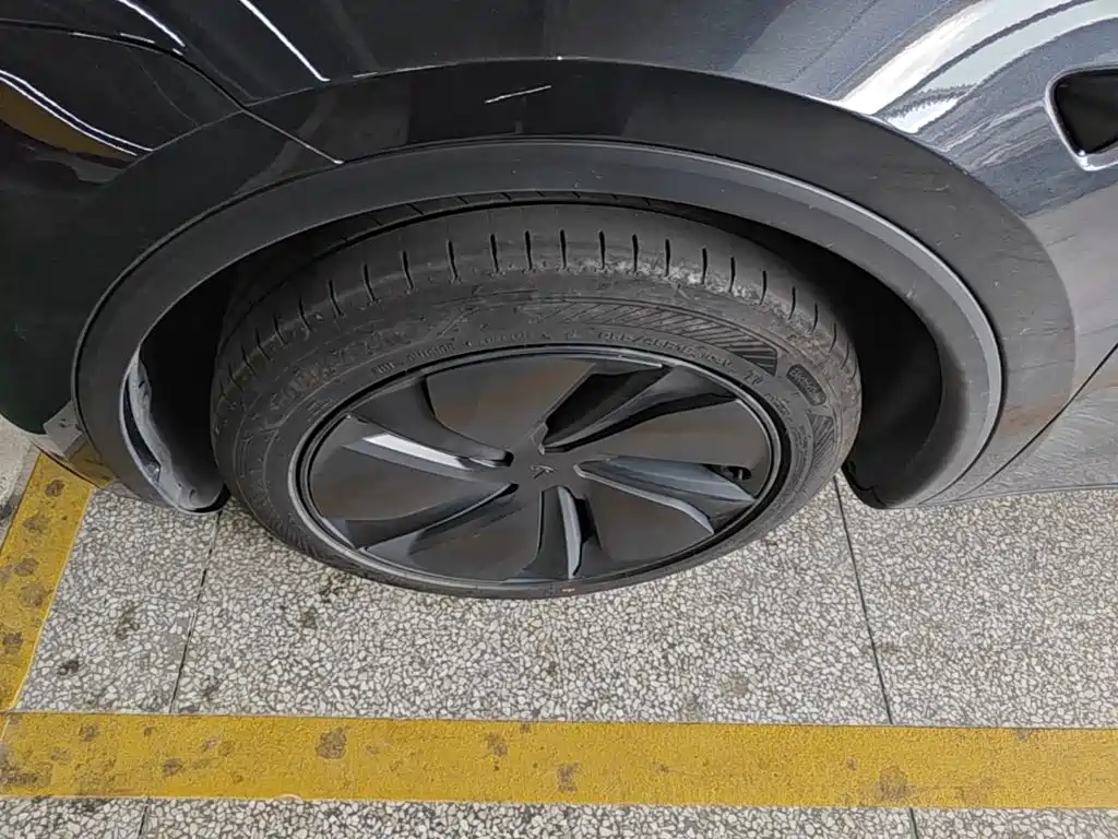 Tesla Model Y — миниатюра 23