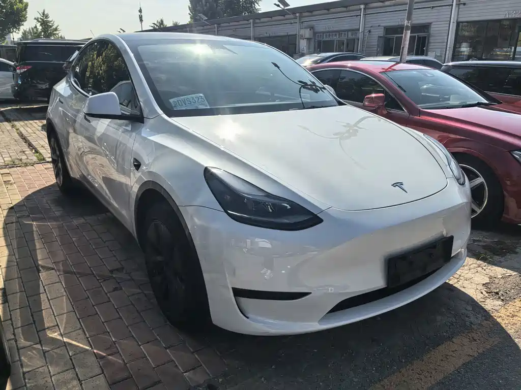Tesla Model Y — миниатюра 4