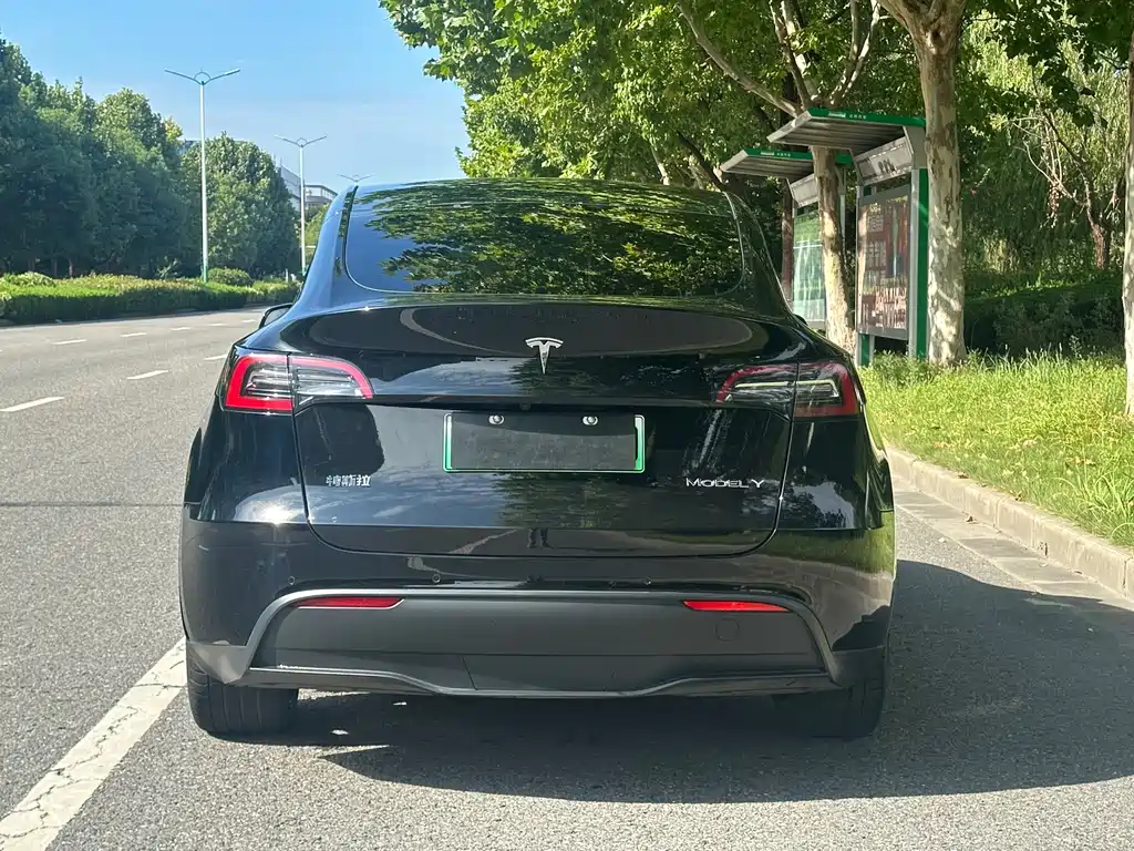Tesla Model Y — миниатюра 4
