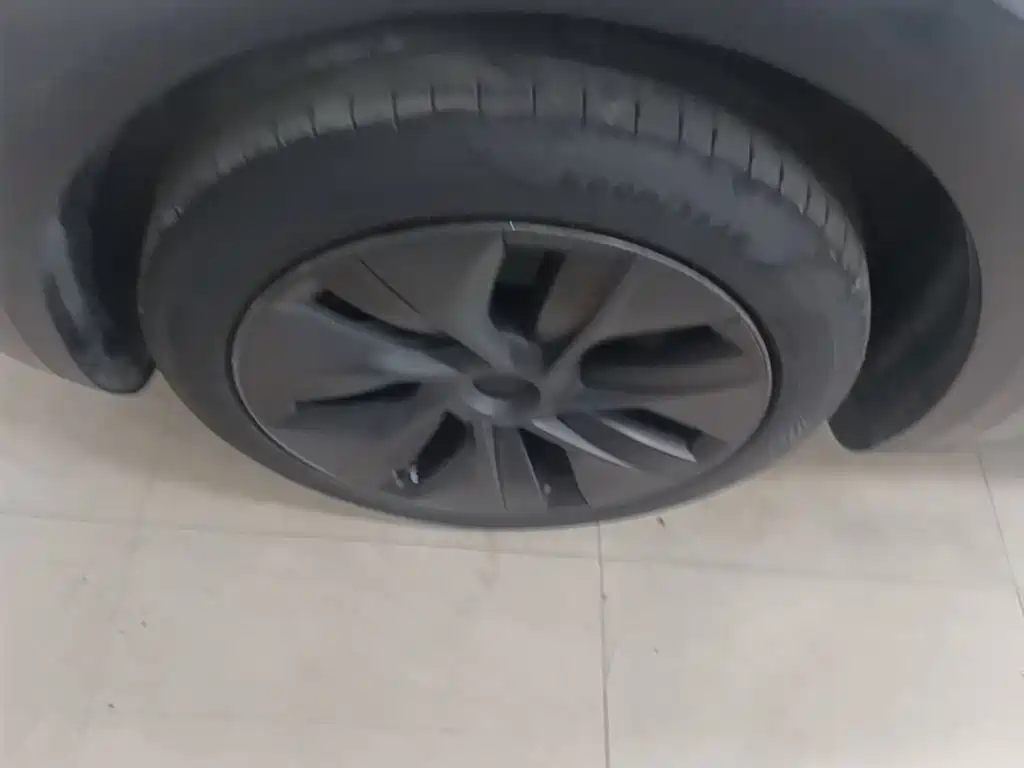 Tesla Model Y — миниатюра 23