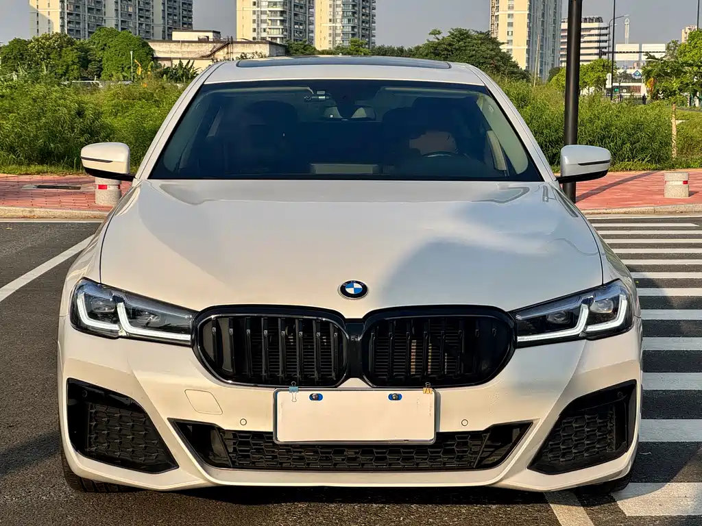 BMW 5 Series 5 2018 530Li Lead Luxury