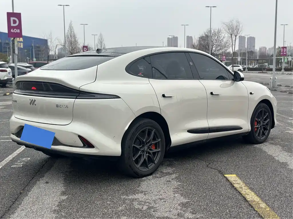 ZHIJI AUTOMOBILE ZHIJI LS6