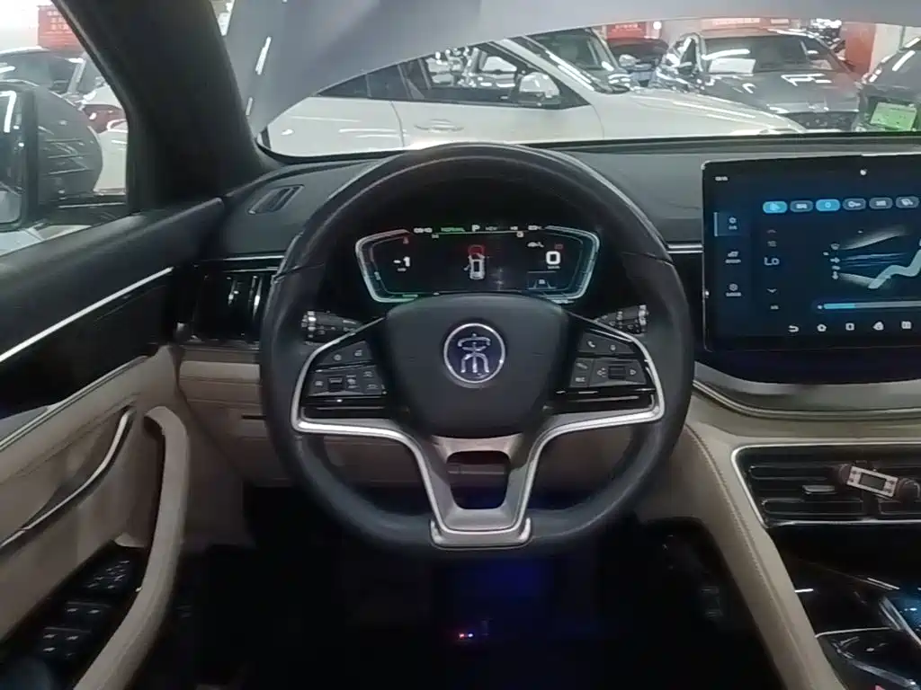 BYD PLUS New Energy — миниатюра 11
