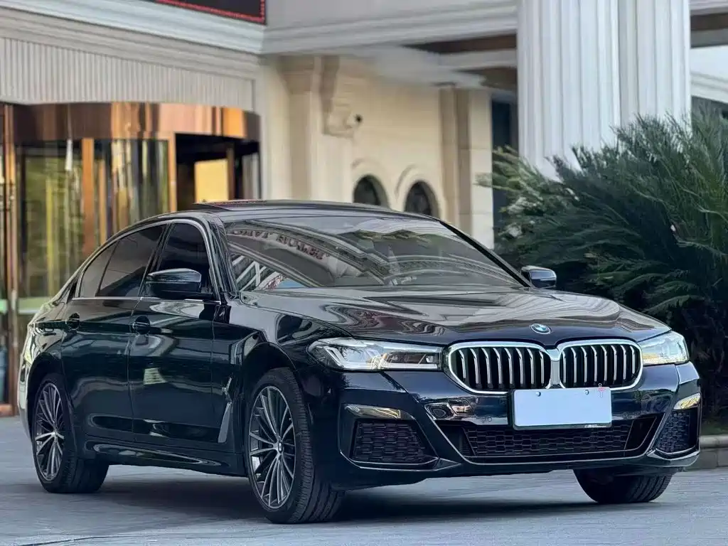 BMW 5 Series — миниатюра 3