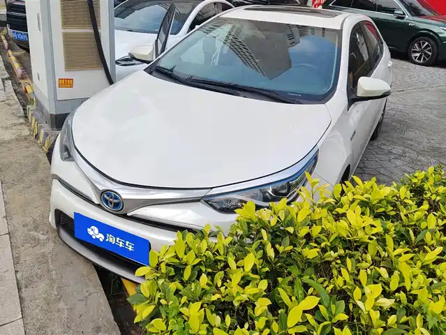 TOYOTA LEI LING 2018