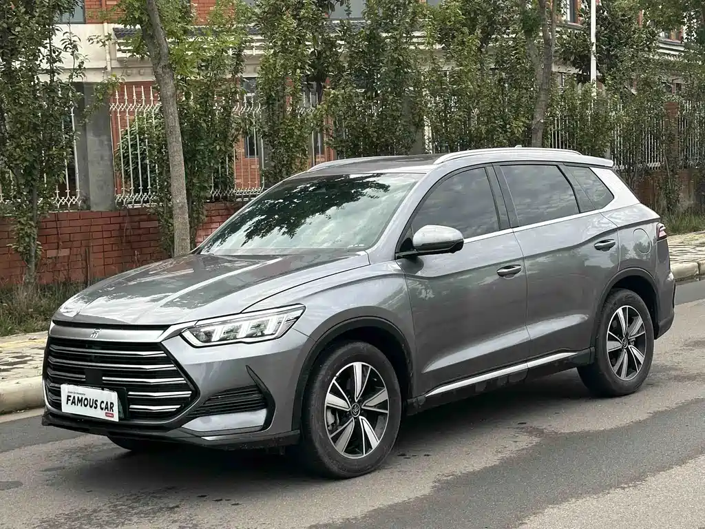 BYD Pro New Energy