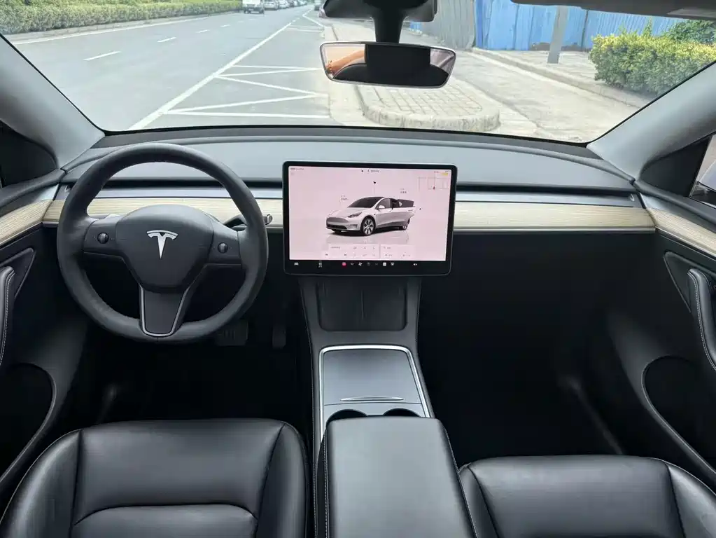 Tesla Model Y — миниатюра 5