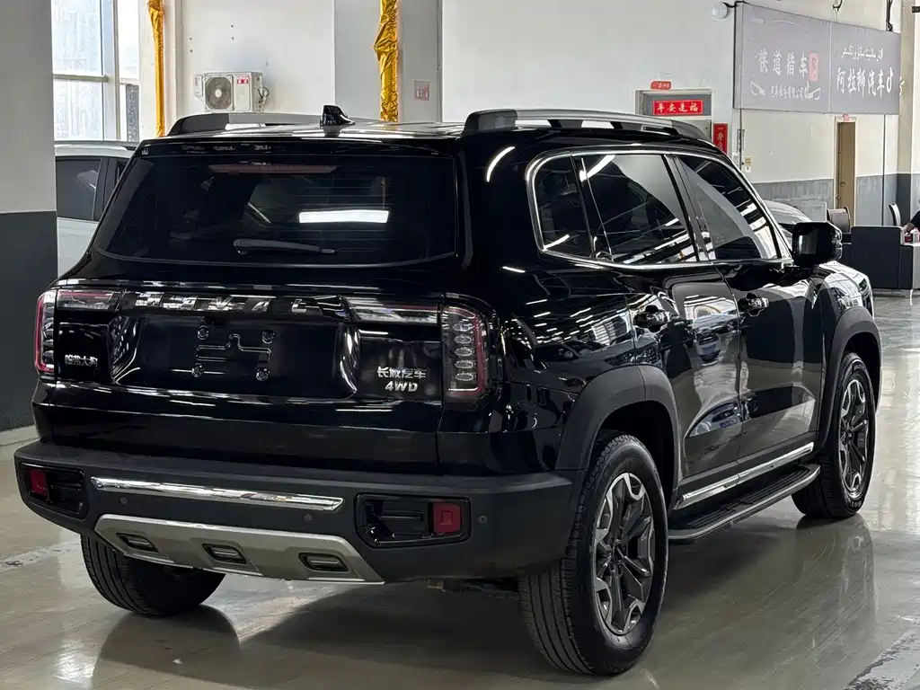 Haval Big Dog — миниатюра 15