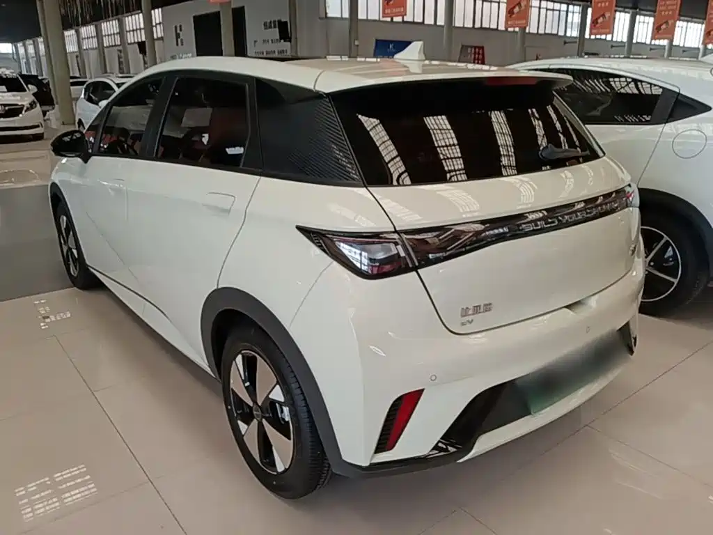 BYD Dolphin — миниатюра 5