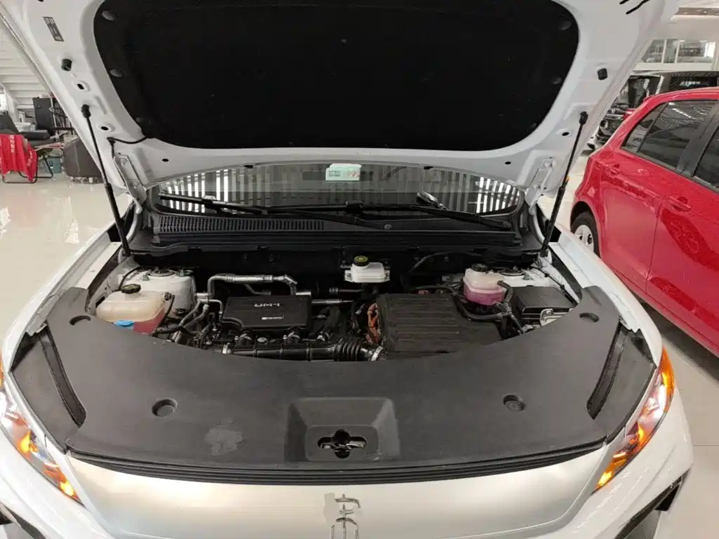 BYD Pro New Energy — миниатюра 20