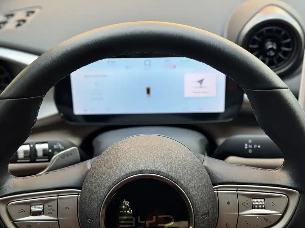 BYD Dolphin — миниатюра 14