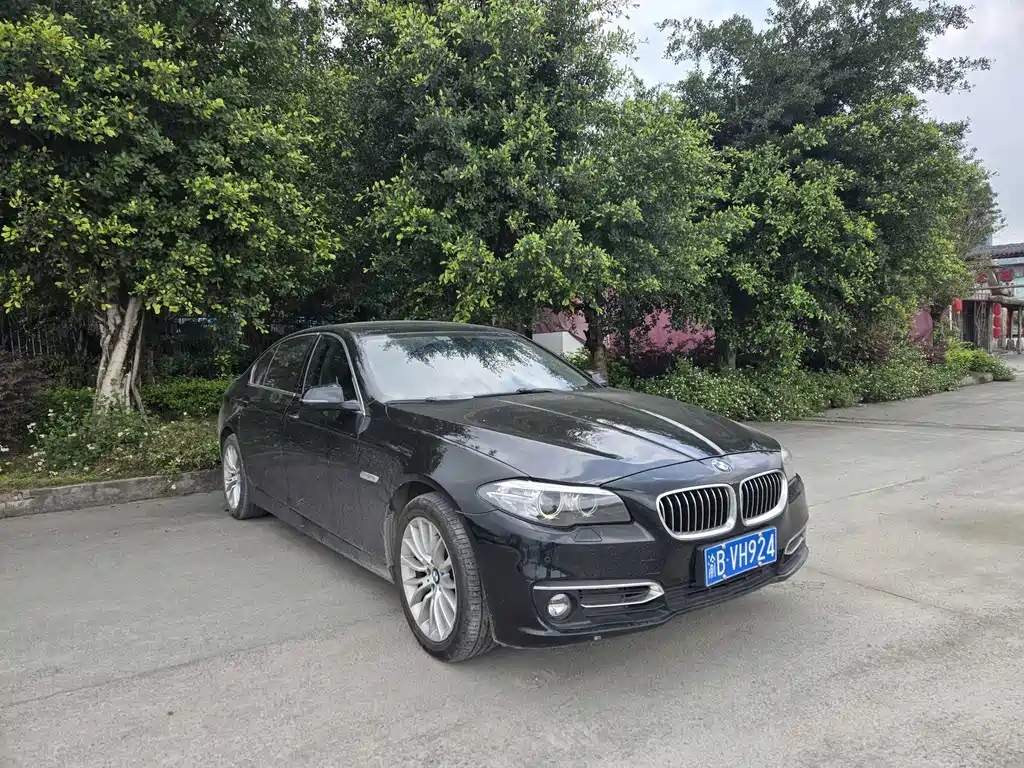 BMW 5 Series 5 2014 525Li