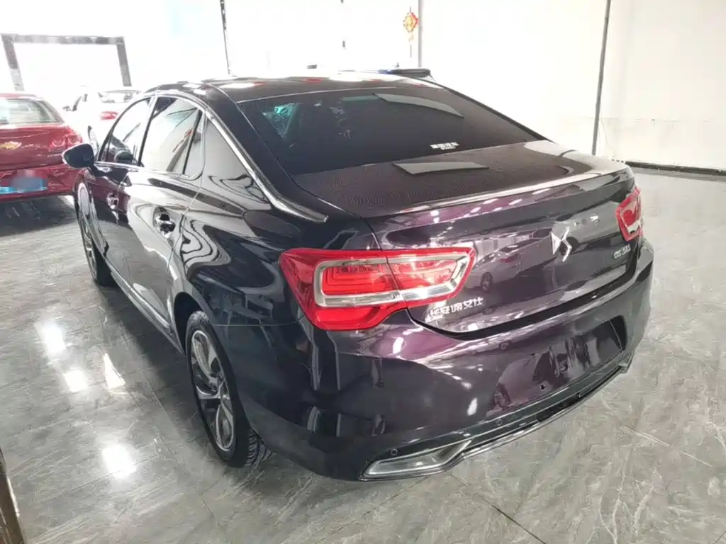 DS DS 5LS — миниатюра 5
