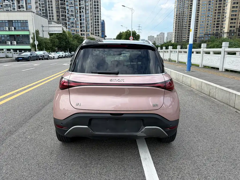 smart Smart #1 — миниатюра 13