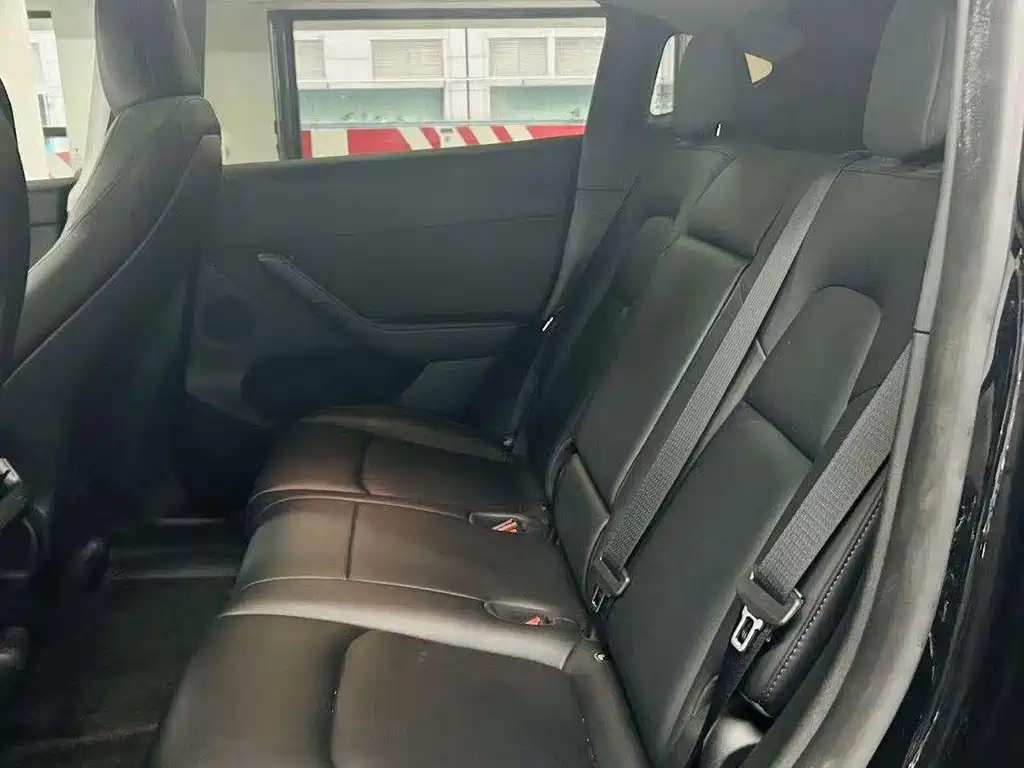 Tesla Model Y — миниатюра 4