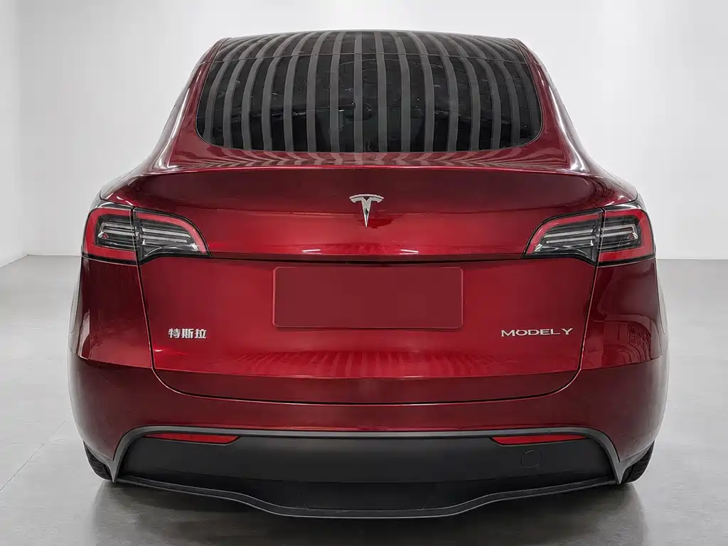 Tesla Model Y — миниатюра 8