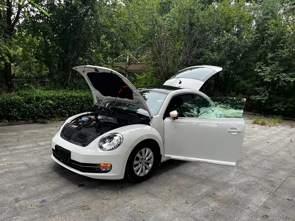 Volkswagen Beetle — миниатюра 14