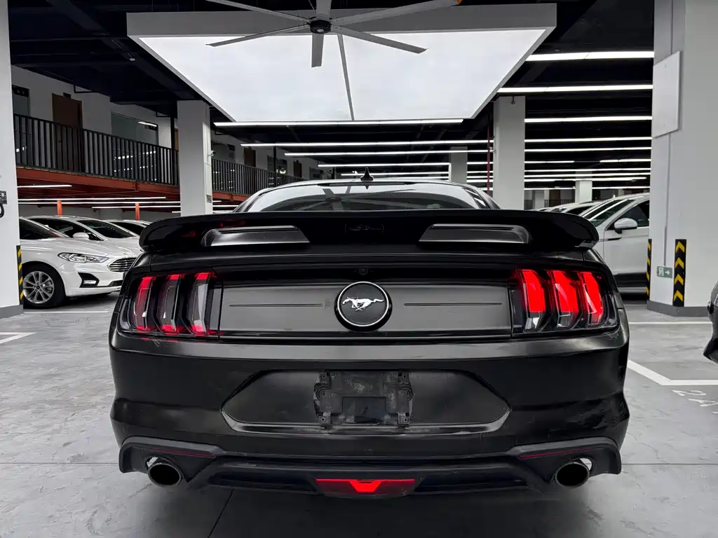Ford Mustang — миниатюра 17