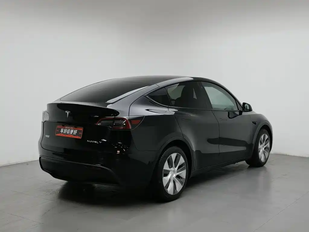 Tesla Model Y — миниатюра 2