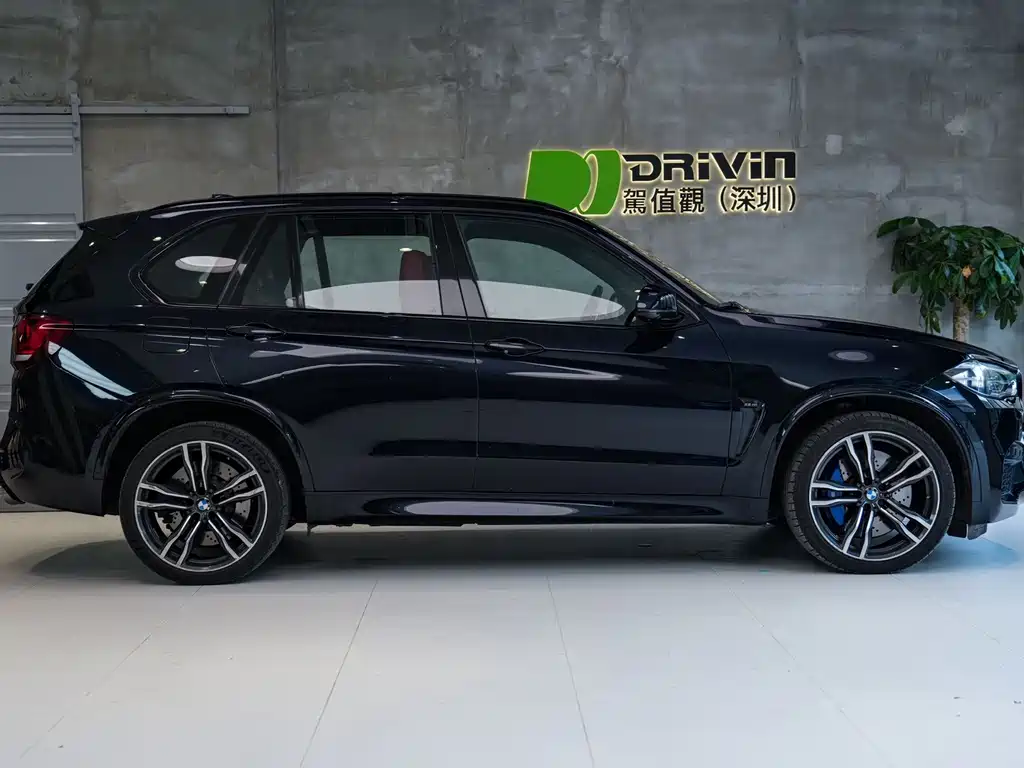 BMW X5 M — миниатюра 5