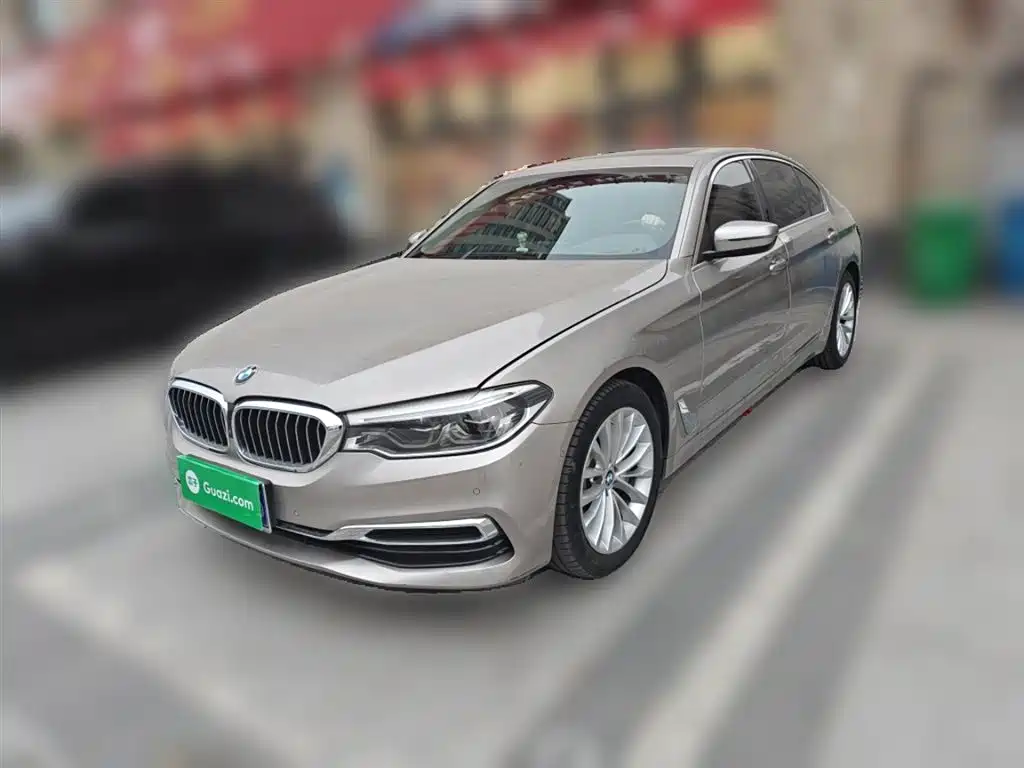 BMW 5 Series 5 2020 530Li Premium Luxury
