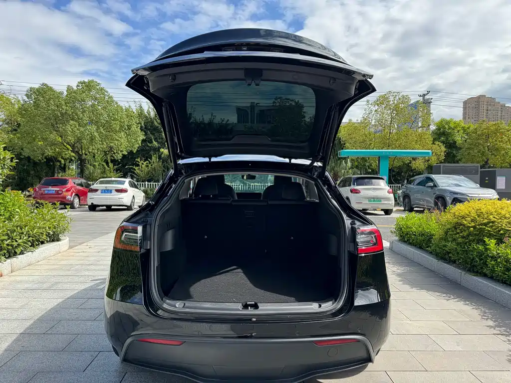 Tesla Model Y — фотографии объявления, Фото 12