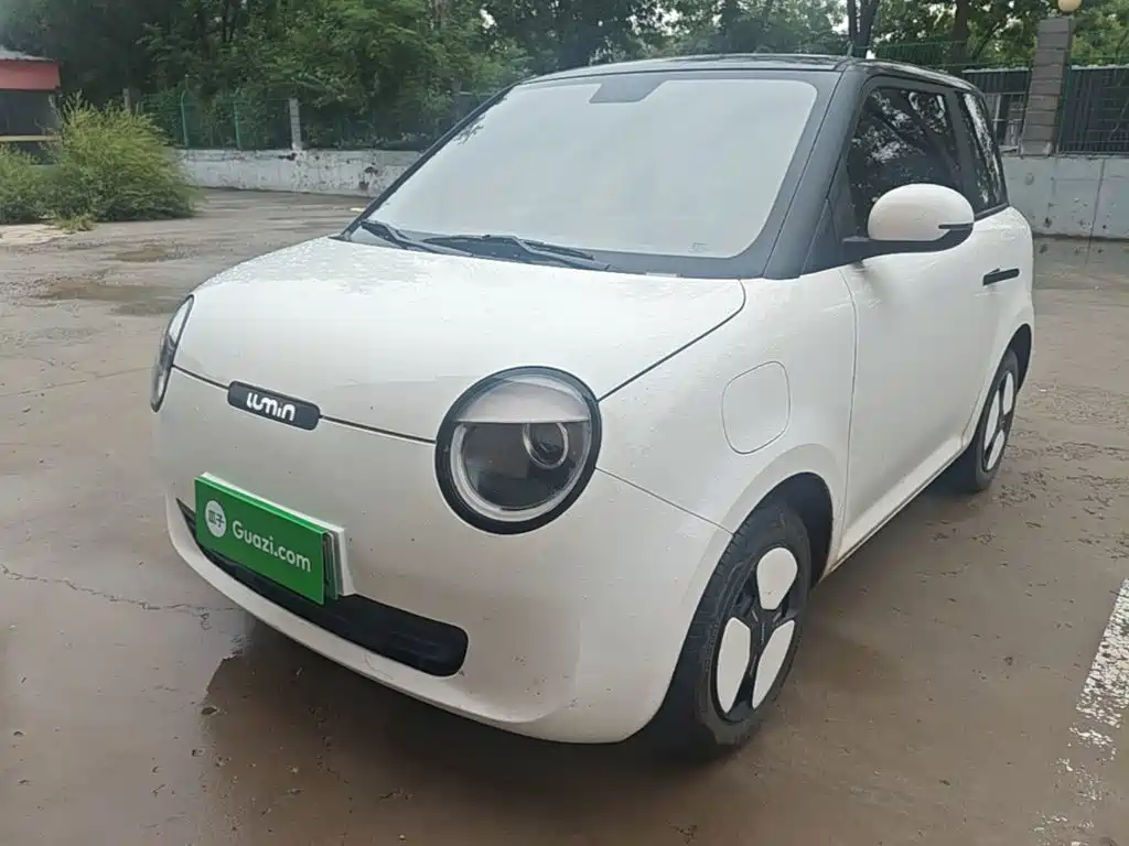 Qiyuan Lumin — миниатюра 2