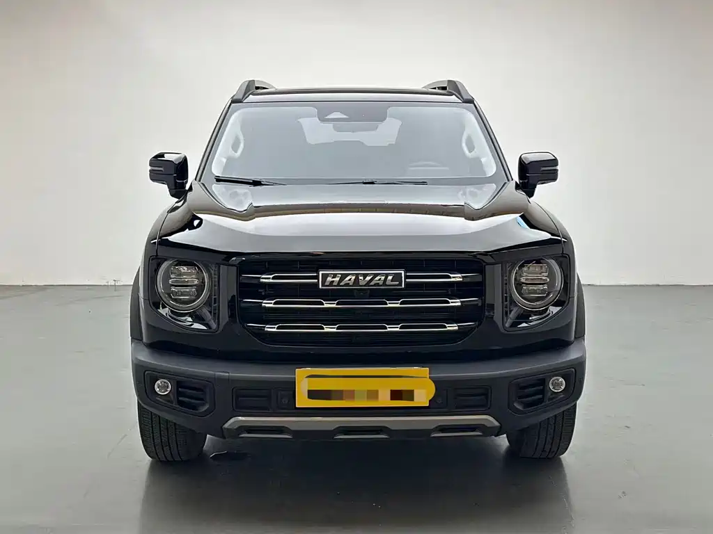 Haval Big Dog — миниатюра 2
