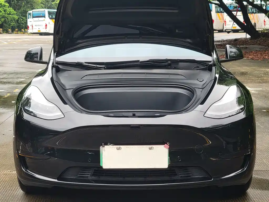 Tesla Model Y — миниатюра 5