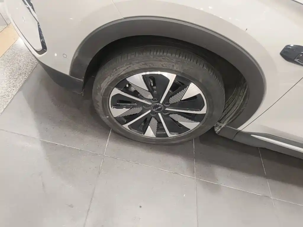 BYD PLUS New Energy — миниатюра 23