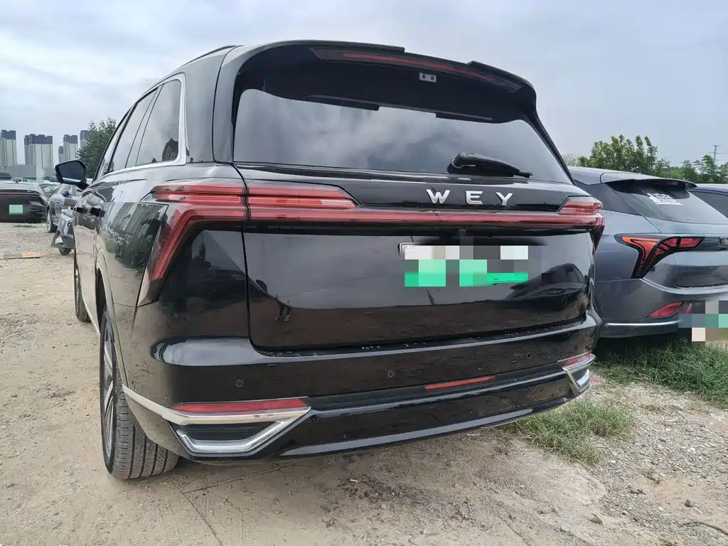 Wey Wey Lanshan — миниатюра 10