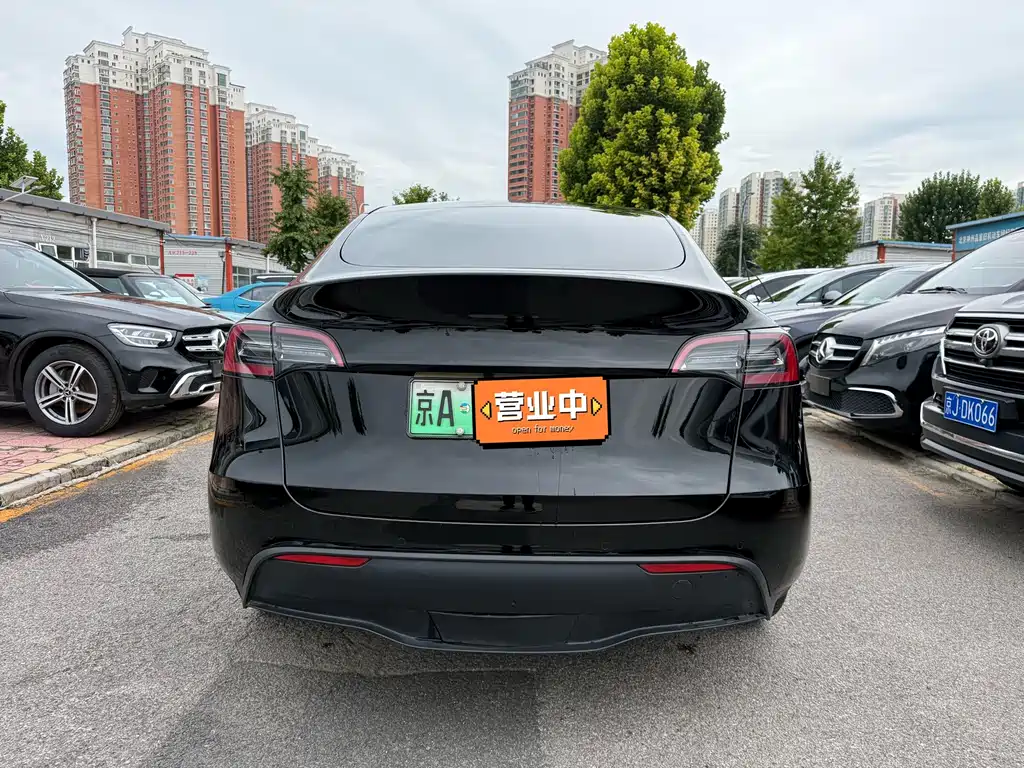 Tesla Model Y — миниатюра 14