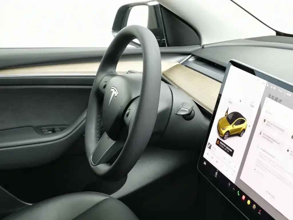 Tesla Model Y — миниатюра 22