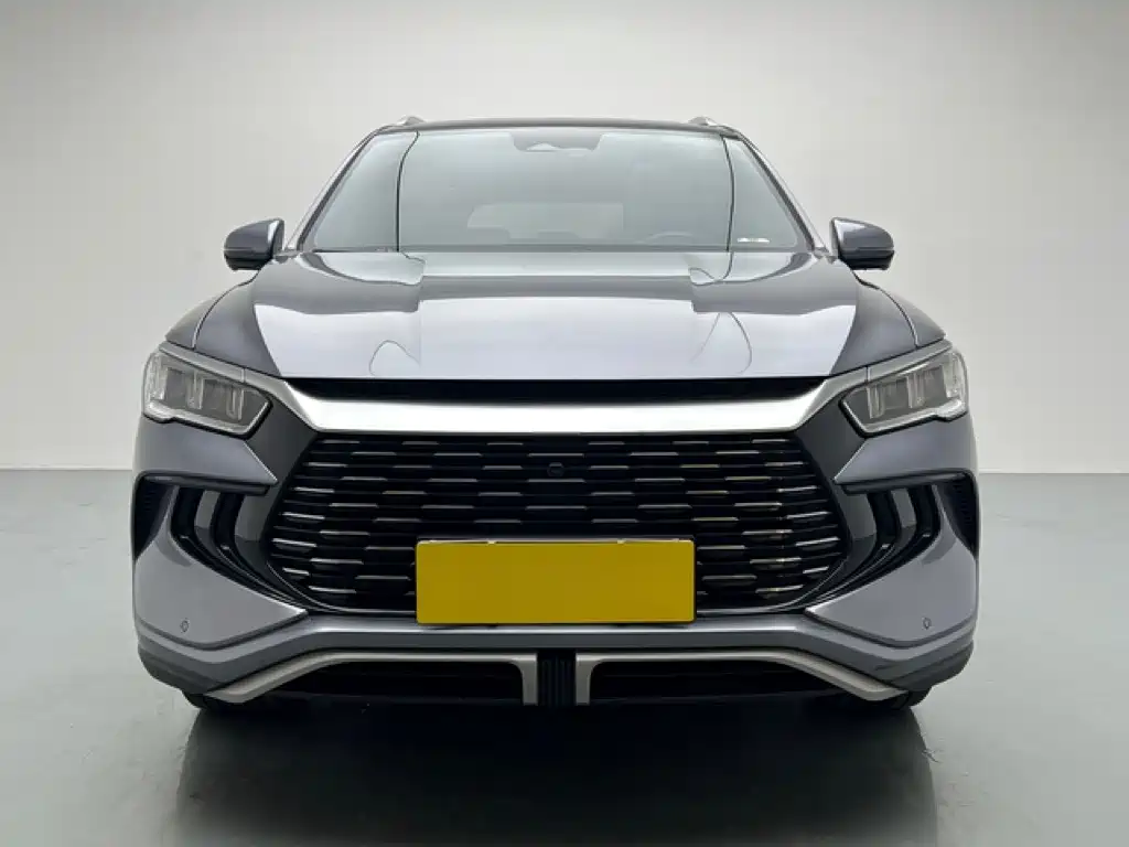 BYD Pro New Energy — миниатюра 2