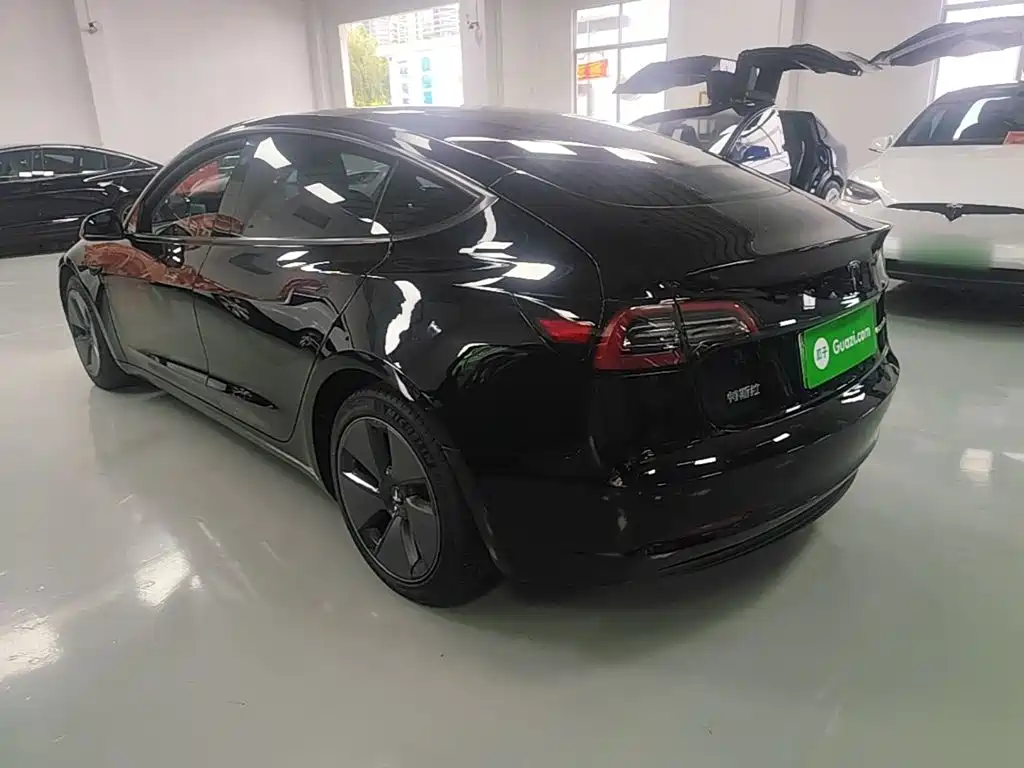 Tesla Model 3 — миниатюра 5